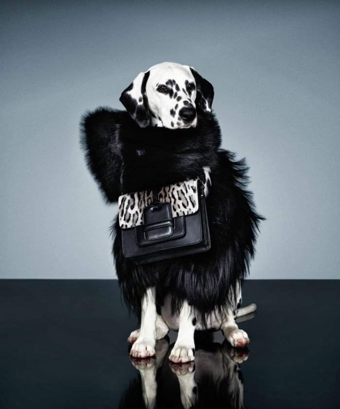 699x840xcruella-fashion5.jpg.pagespeed.ic.45w8l7ZhzA